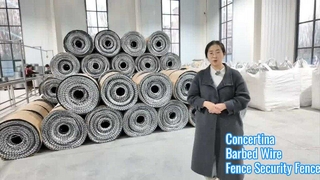 Hoogbeveiligd scheermesdraad voor huismuren